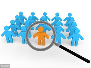 市场调研 验证预期，而非替代决策